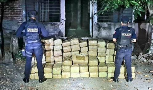 Tras un reporte a C5i, SSP incauta 300 kilogramos de marihuana en Apatzingán 